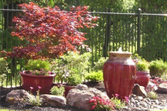 Container fountain and plantings