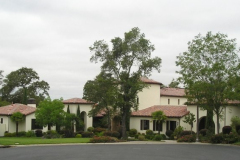 Mission style house with Mediterranean plantings