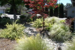 Dry stream bed with grasses