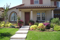 Cottage garden plantings