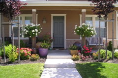 Front yard color
