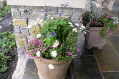 Pot with country plantings