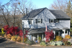 Fall color with Japanese maples