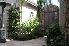 Courtyard with lush plantings