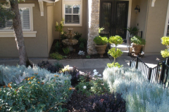 Plantings on a hillside