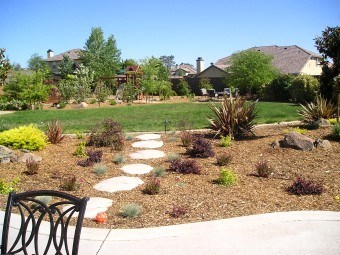 Catta Verdera home yard in Lincoln, CA