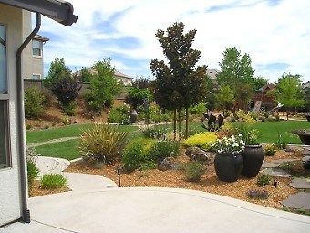 View from patio after landscape design