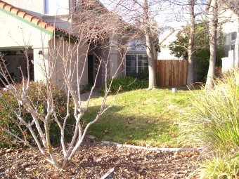 Stanford Ranch home's front yard before re-design