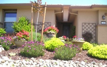 Front yard in Lincoln after a landscape re-design