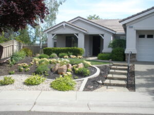 before front yard landscape renovation