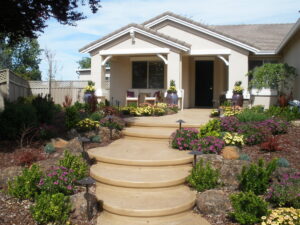Concrete steps and drought tolerant plants