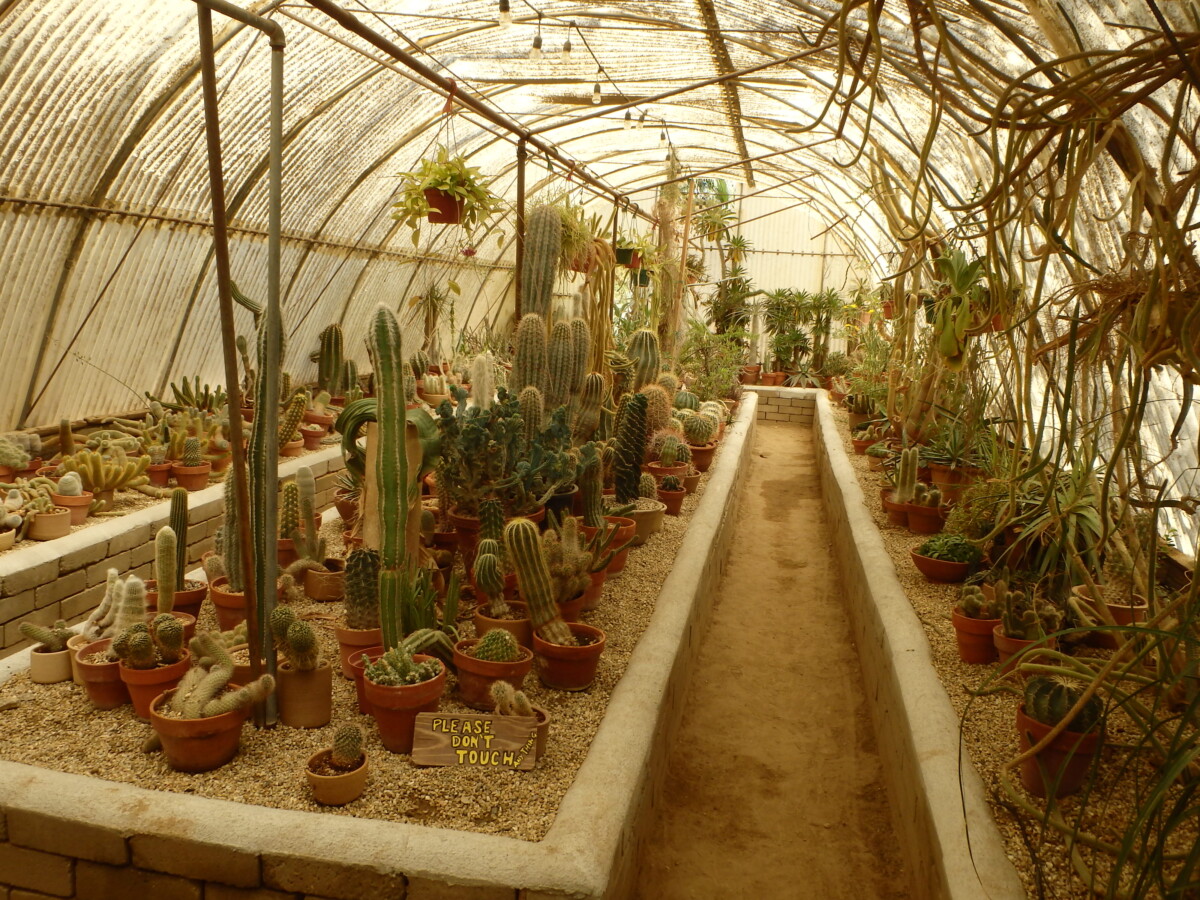 Moorten Botanical Garden Visit