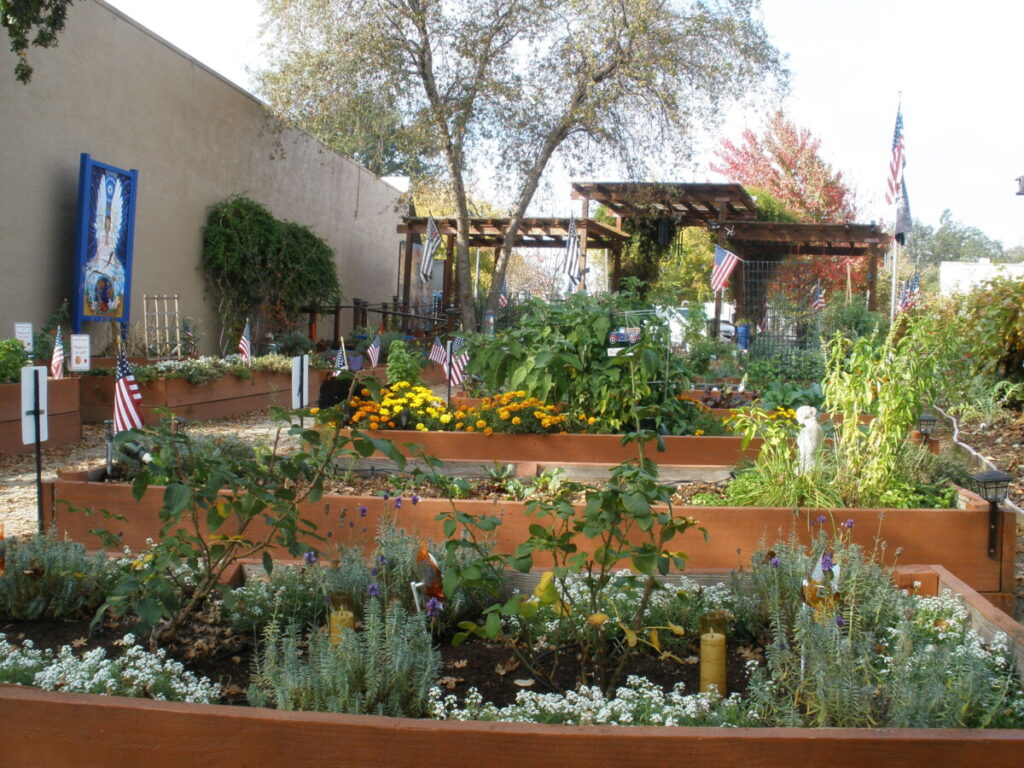 community garden plantings Auburn CA