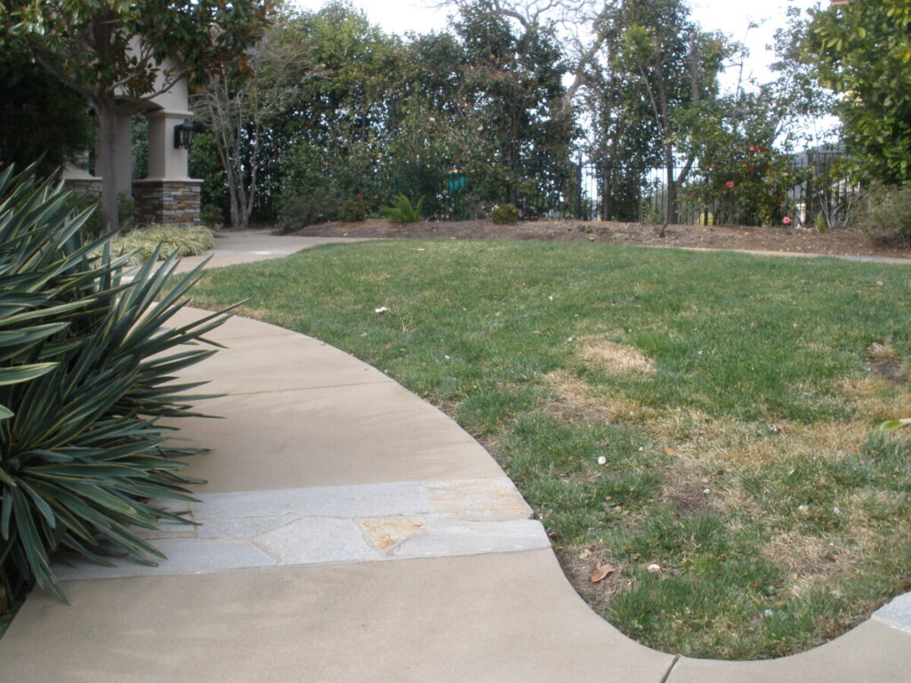 Before putting green