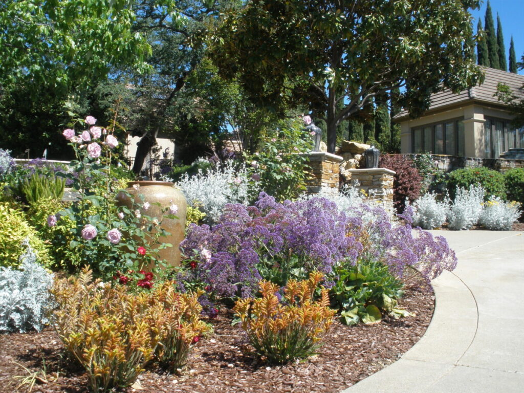Front entry plants