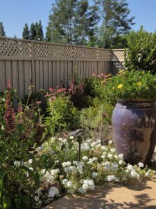 Purple pot and flowers for pollinators