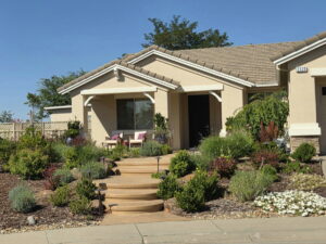 Colored stamped concrete stairs with drought tolerant plantings