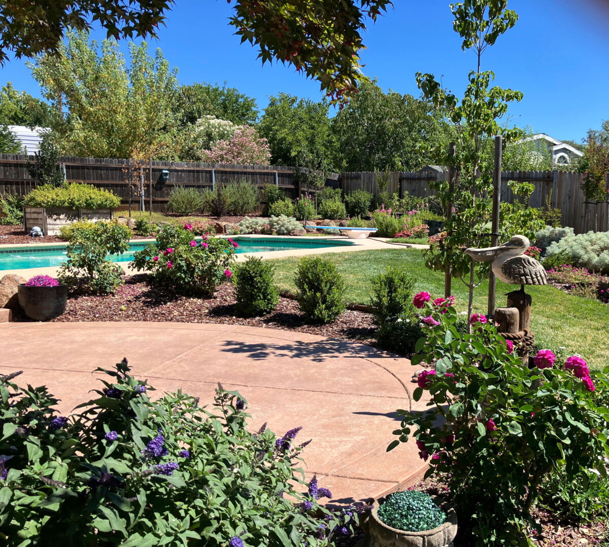 Remote patio with view of pool