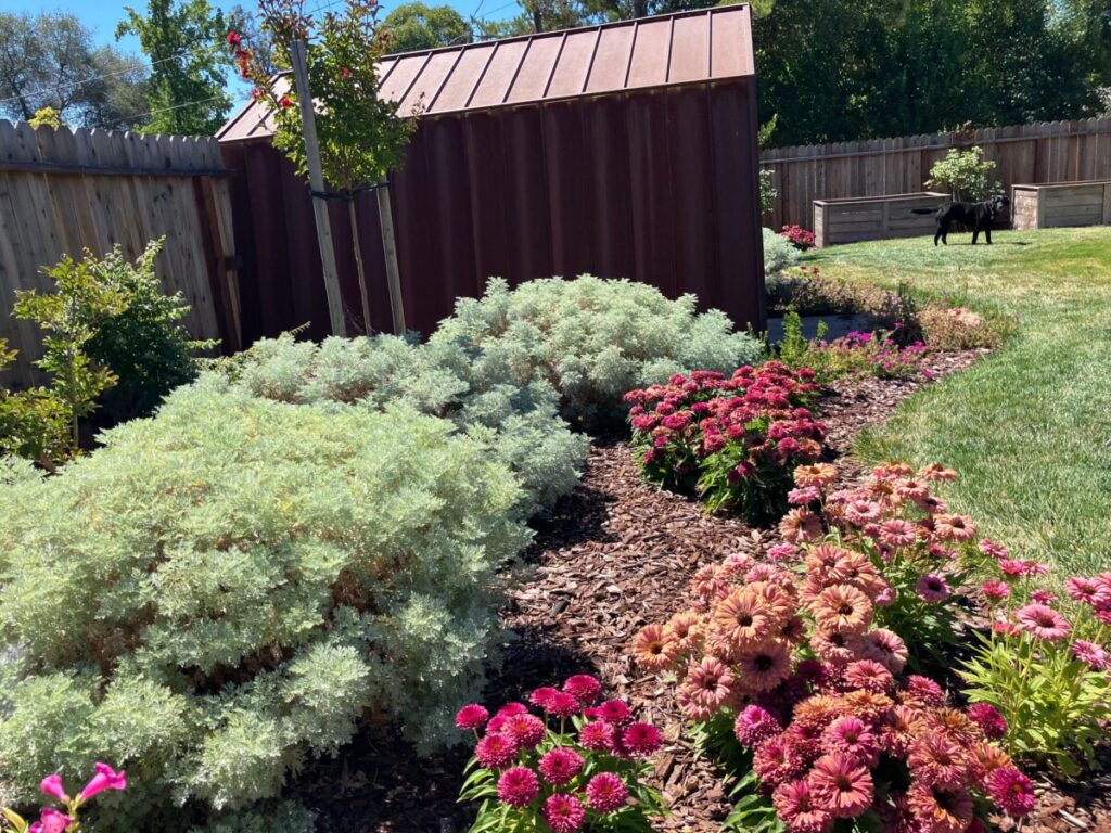 Shed with pollinator plantings nearby