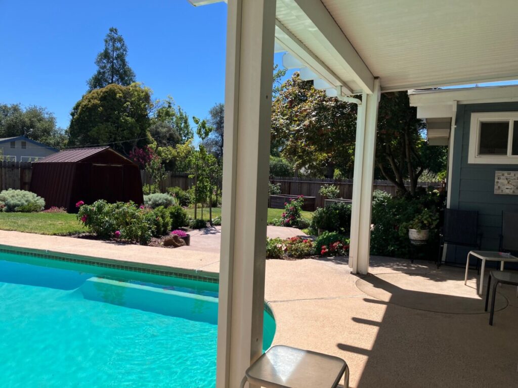 Pool new patio and old shed