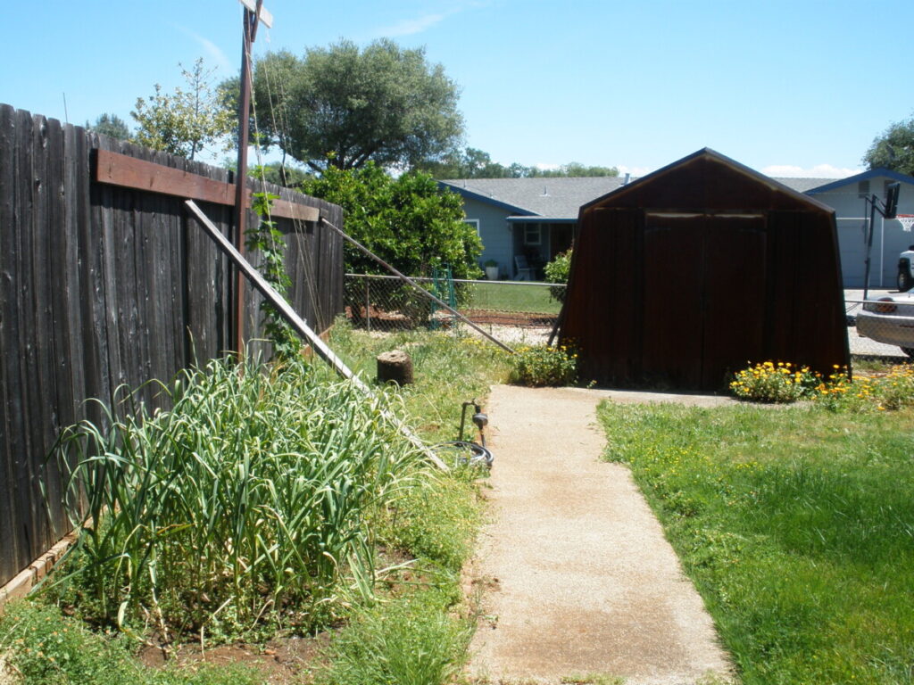 A before picture of an old shed