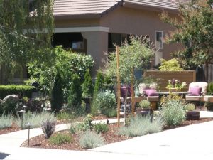 A bee garden installation in Northern California